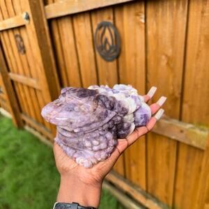 Dream Amethyst Crystal Money Toad 3lbs